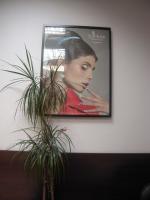 Broncalova hair Broncalova hair