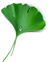 ПозитивПроект