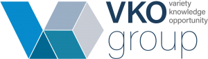 VKO Group
