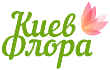 Киевфлора — срочная доставка лучших букетов!