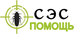 Сэс Помощь