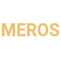 Meros Equity