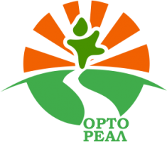 ООО «ОртоРеал» ООО «ОртоРеал»