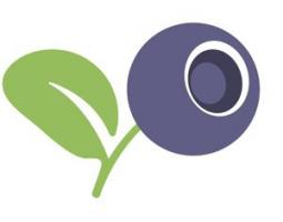 Черника Оптика Черника Оптика