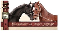 Конный Клуб Харькова «Mon Ami»