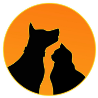 Ветеринарная клиника «Планета» в Казани Ветеринарная клиника «Планета» в Казани