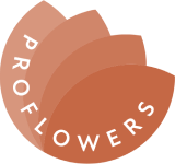ProFlowers ProFlowers