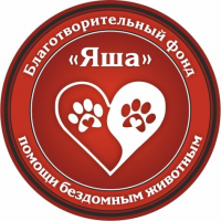 Благотворительный фонд "Яша" Благотворительный фонд "Яша"