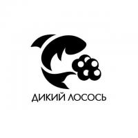 ООО "Дикий Лосось" ООО "Дикий Лосось"