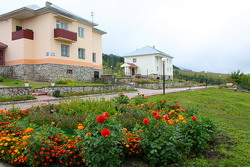 Бильярд «Солнечная горка»